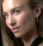 Small Drop Earrings 0.12ct Diamond 9k Yellow Gold