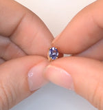 Tanzanite 5 X 4mm 18k Gold Earrings